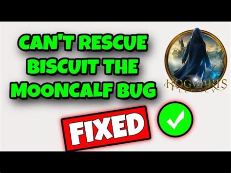 le biscuit de la discorde bug|Hogwarts Legacy “Can’t rescue Biscuit the Mooncalf” bug: How to。